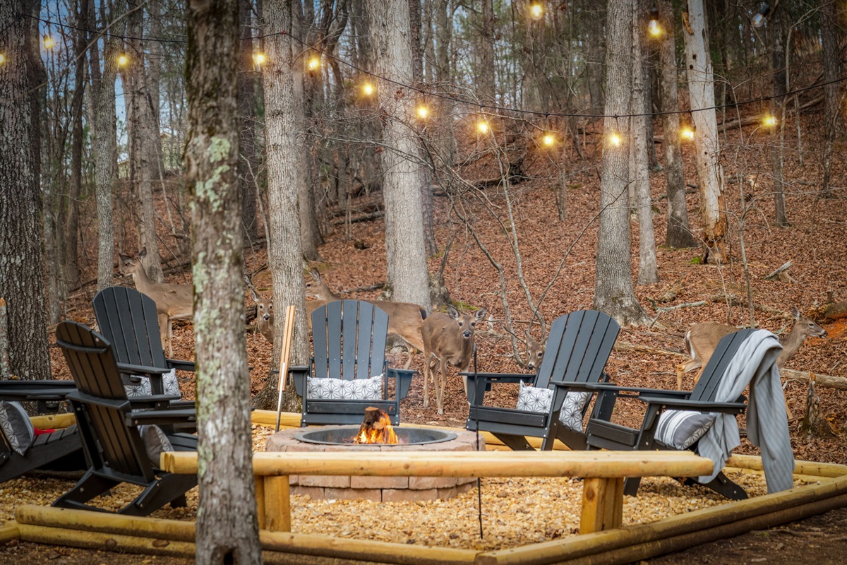 Surrounded by scenic outdoor views, it provides a peaceful backdrop for every moment.