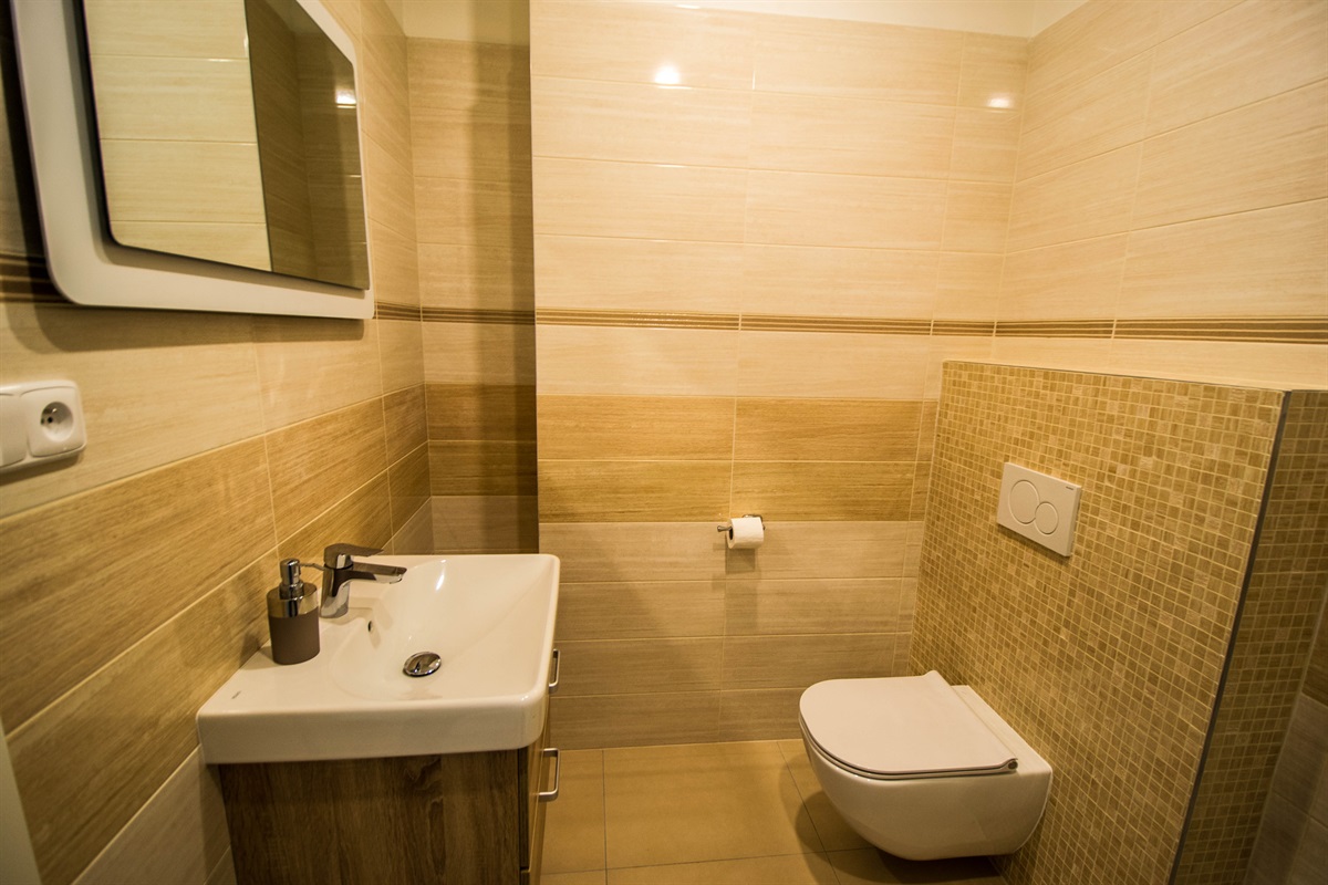 1st bathroom with a sink and WC