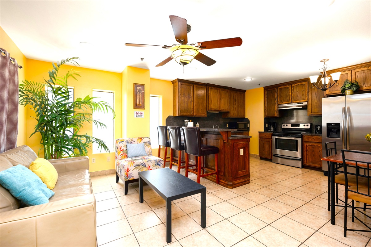 Open area - Living Room and Kitchen