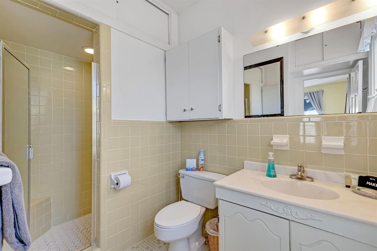 Master Bathroom (shower)