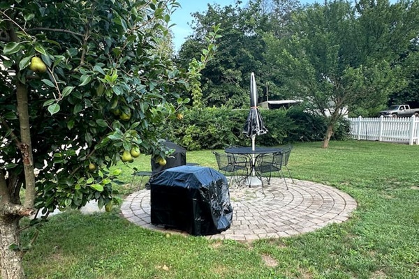 fire pit , grill, and tables 