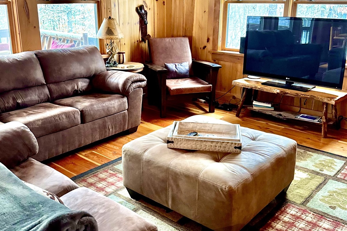 Comfortable living room includes a sofa bed.
