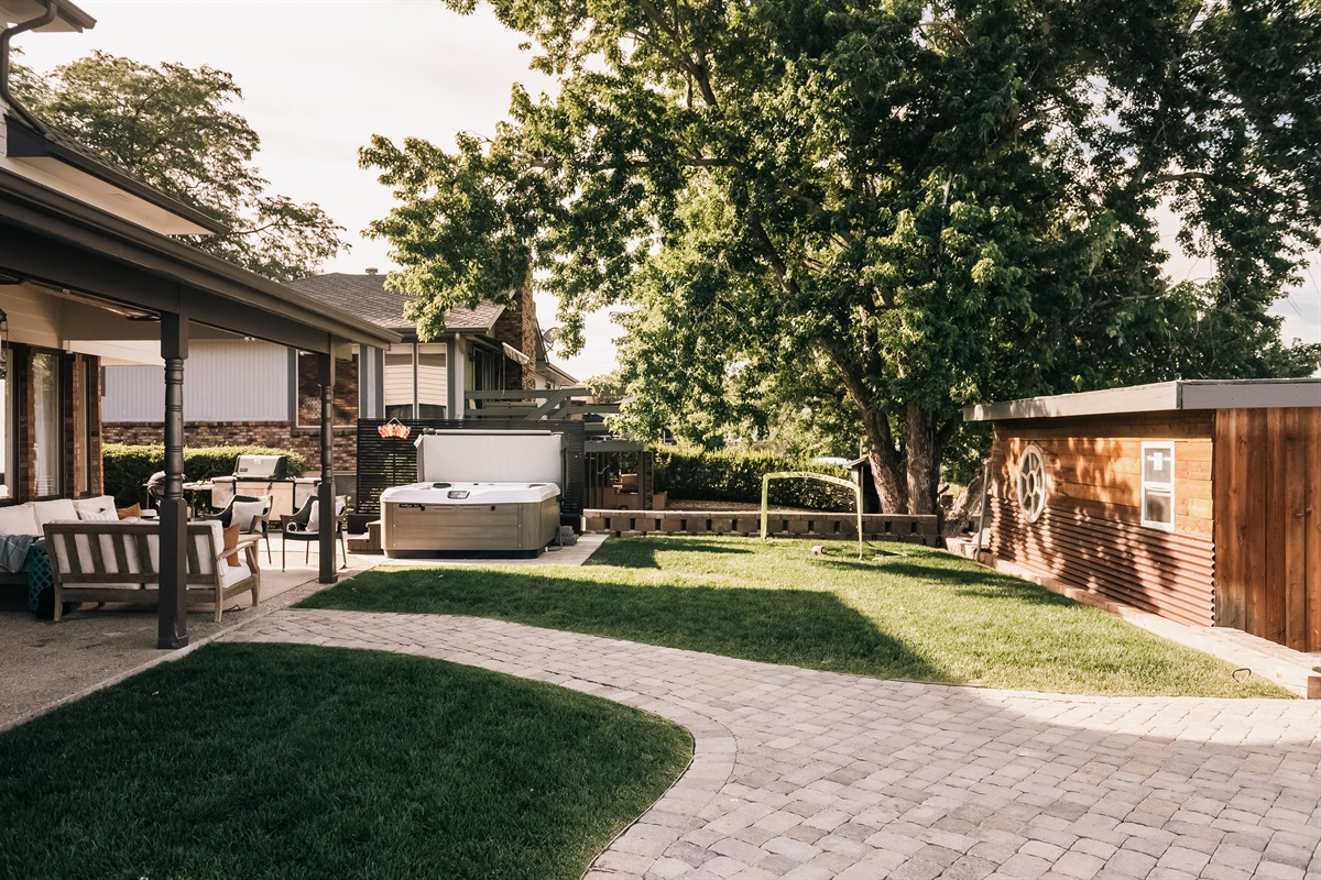 Backyard Fun!