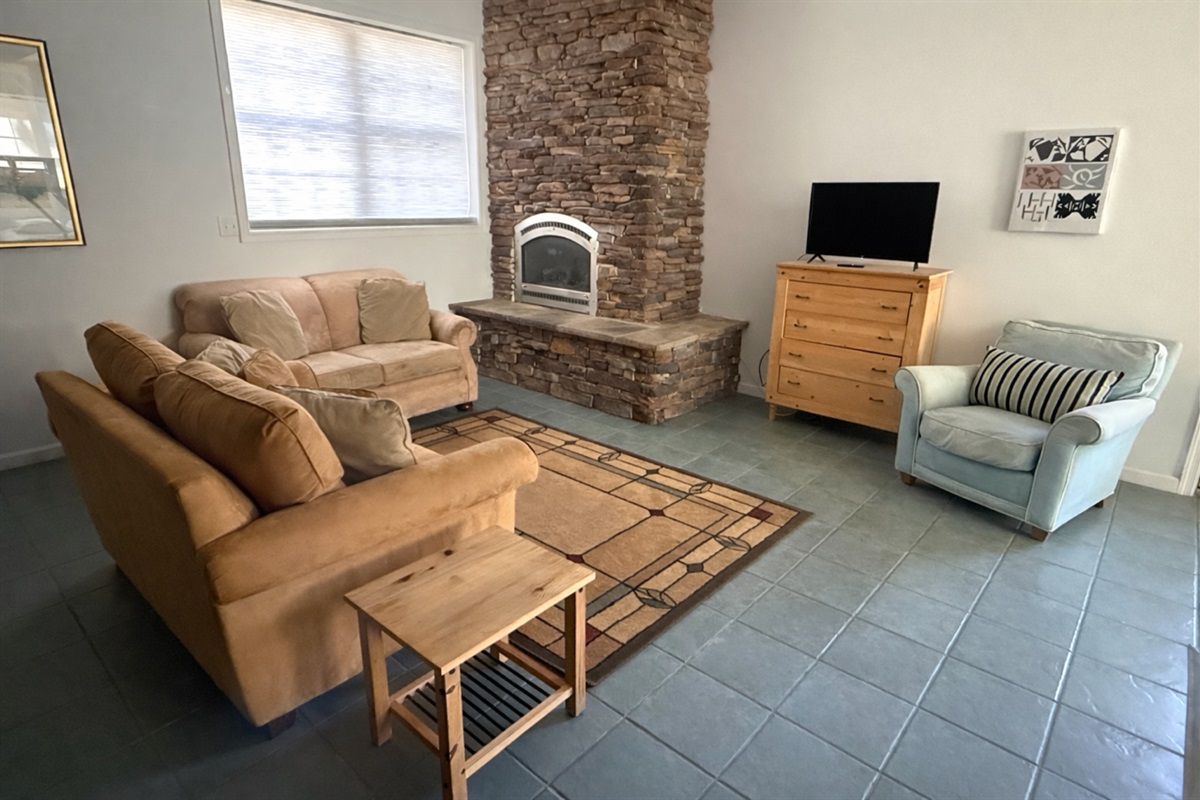 Basement living room, propane fireplace, and ROKU TV.