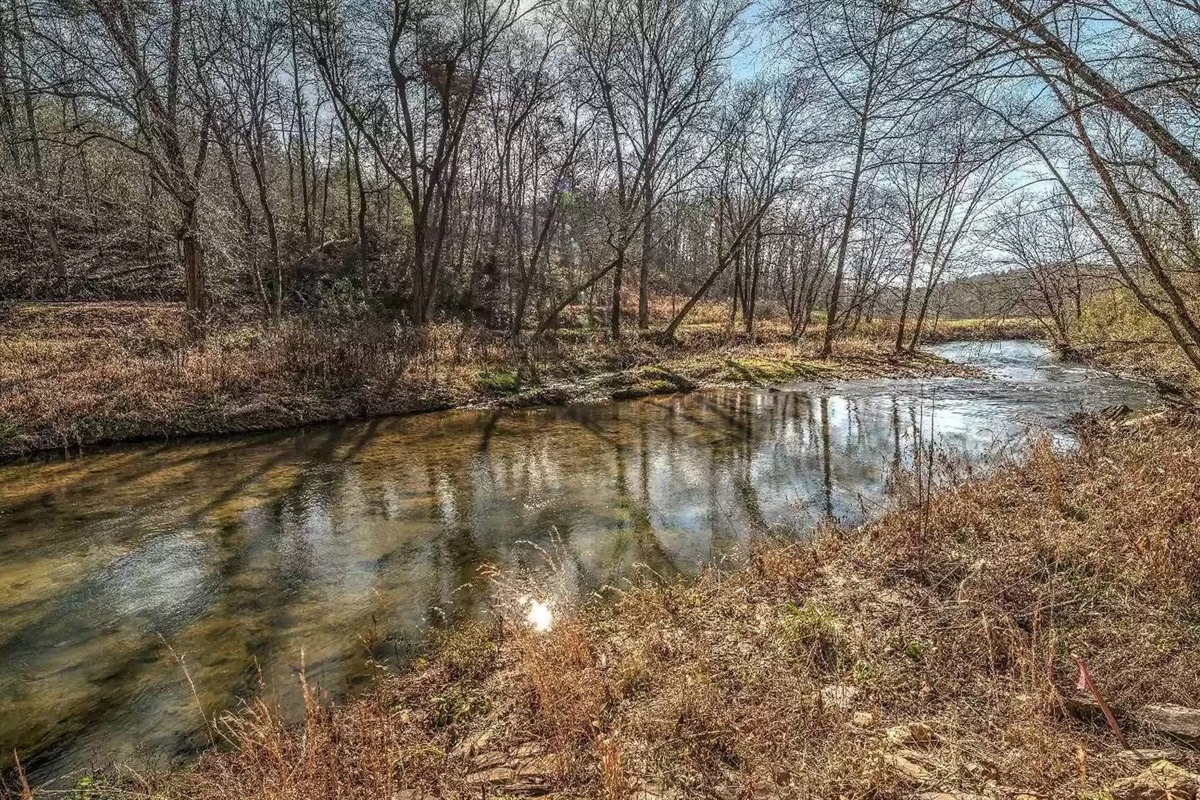 Enjoy the view of the babbling creak