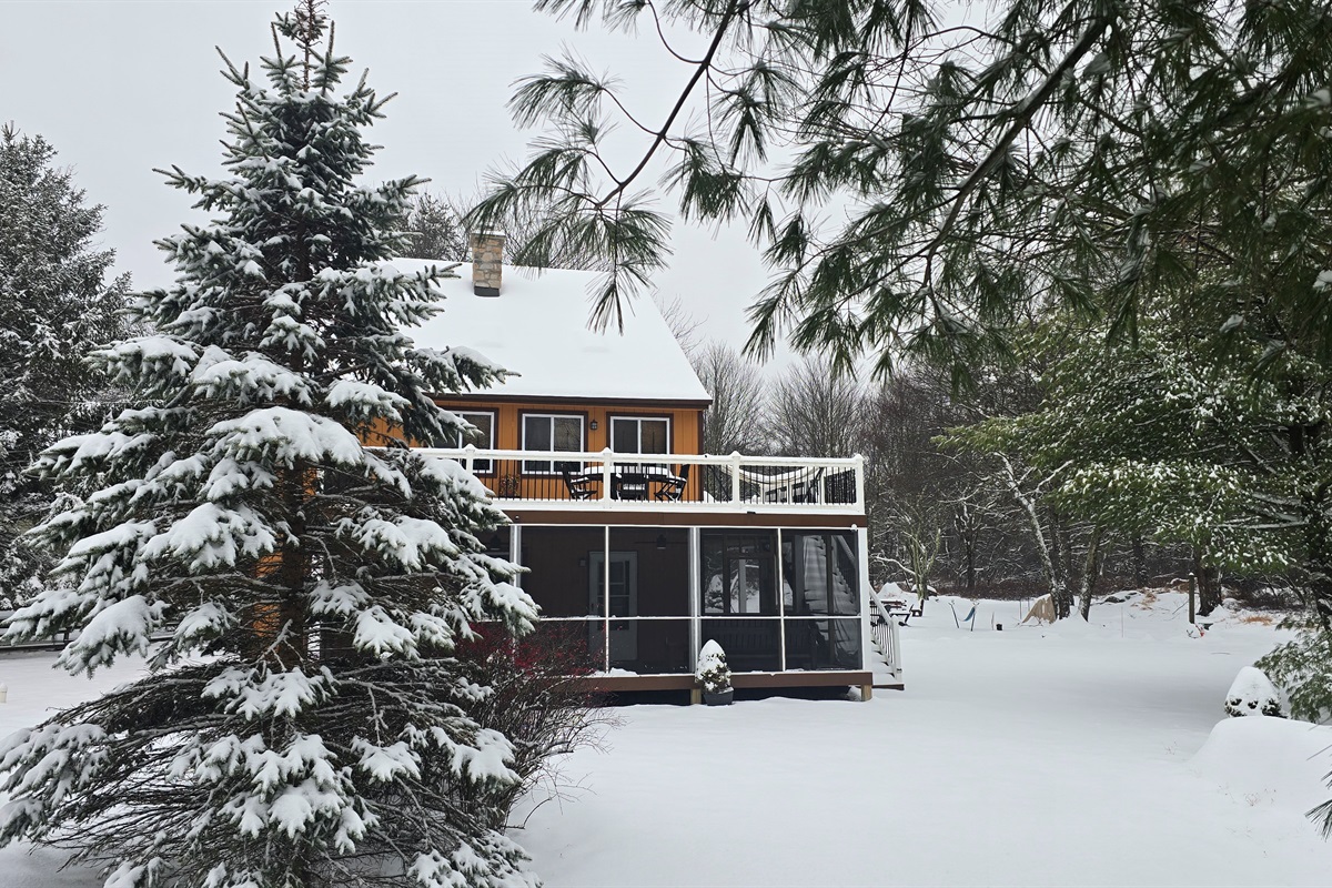 Winter magic lives here! Snow-kissed roof and pure serenity. Welcome to Iron Elk Cabin