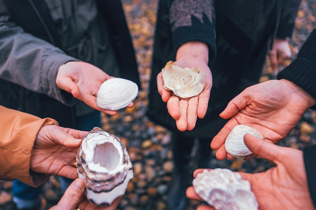 Explore the coastline and tide pools during your visit.