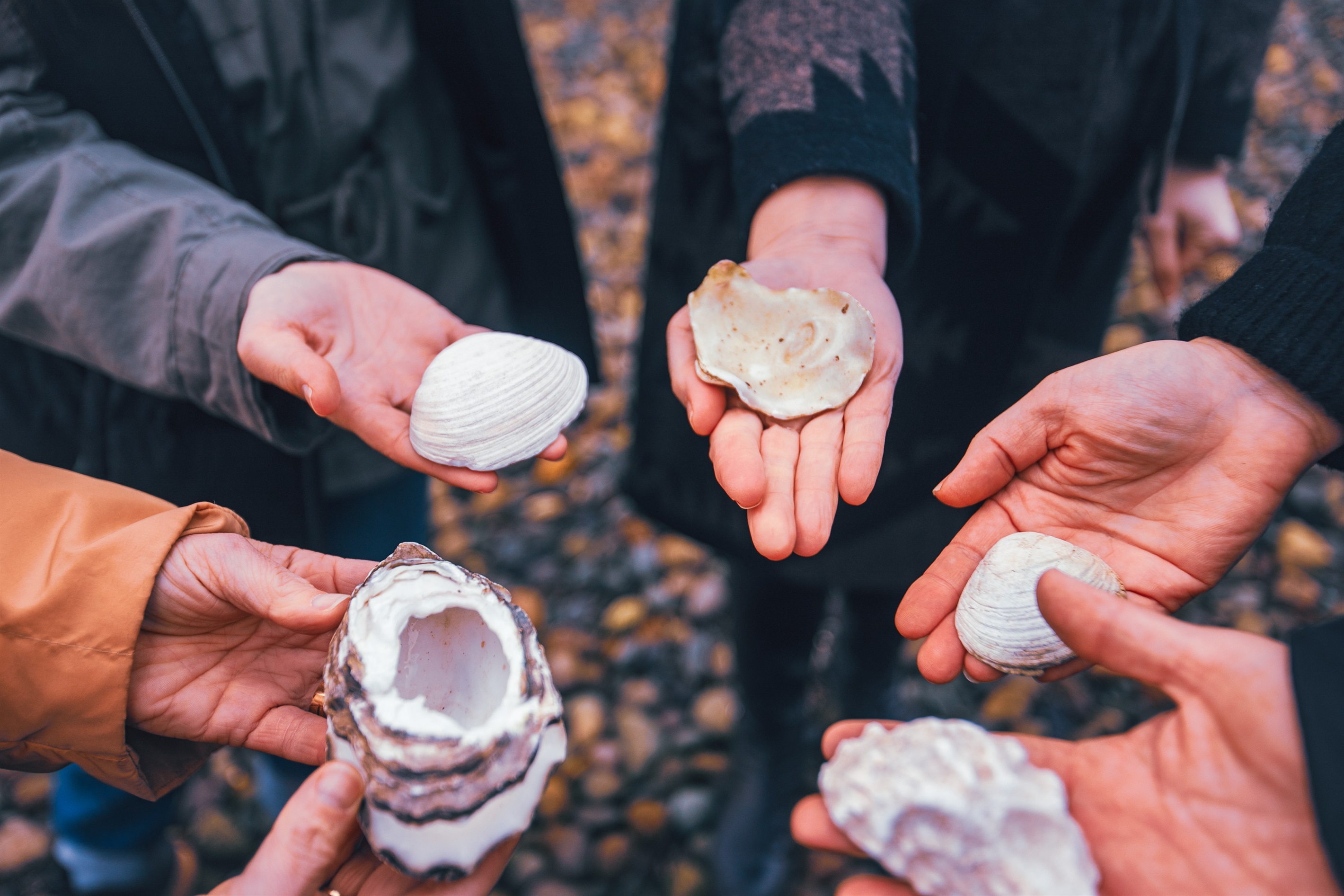 Explore the coastline and tide pools during your visit.