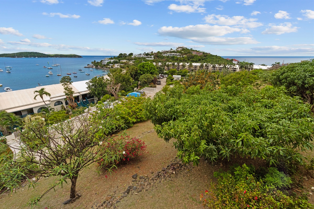 Take in expansive views of Cowpet Bay as you relax on the grounds.