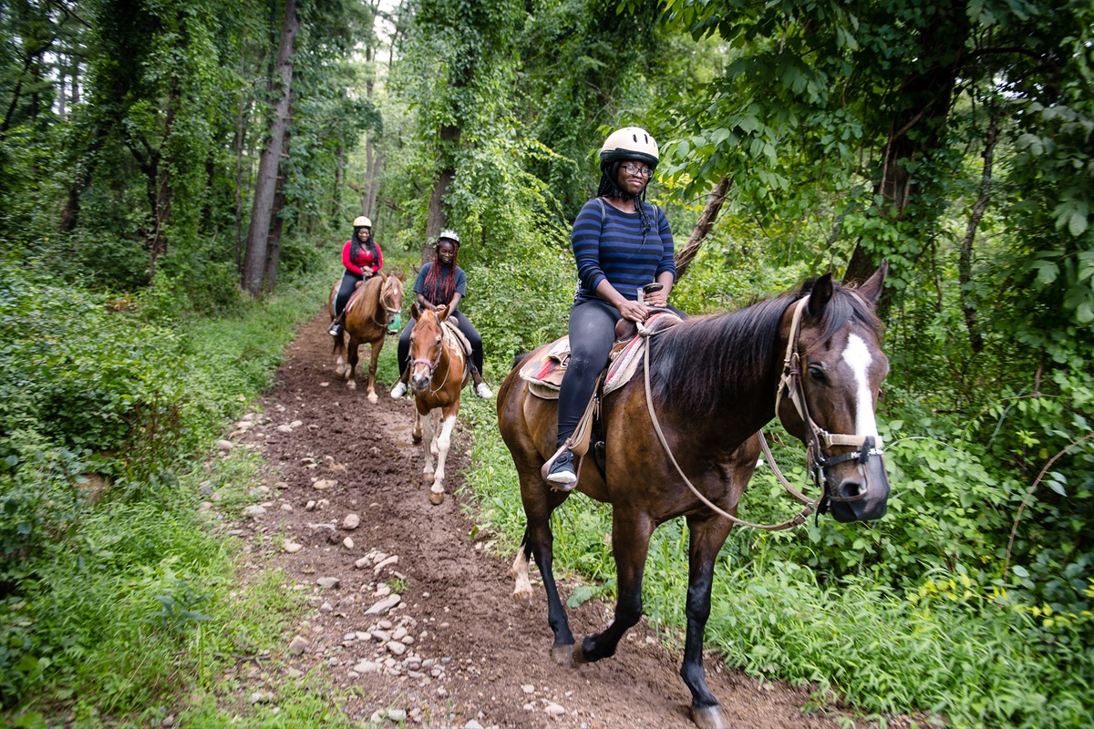 Take trail ride on horseback