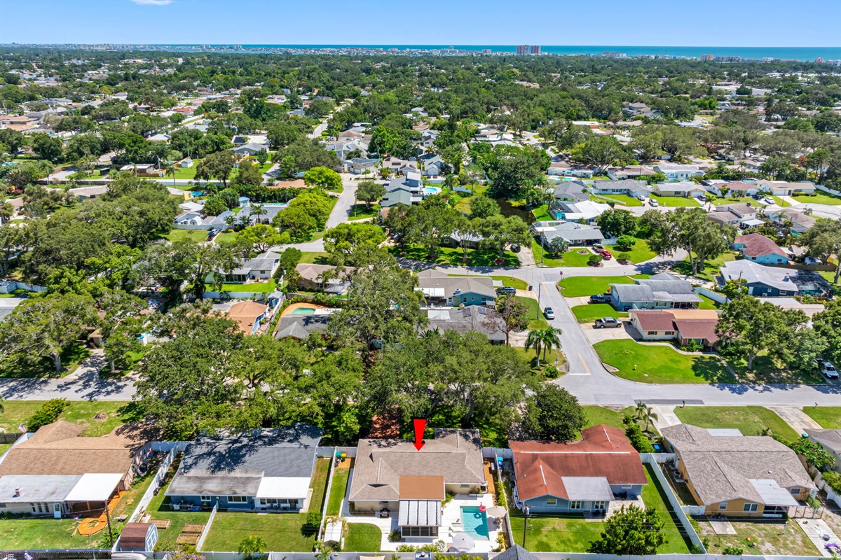 Aerial View of the Neighborhood