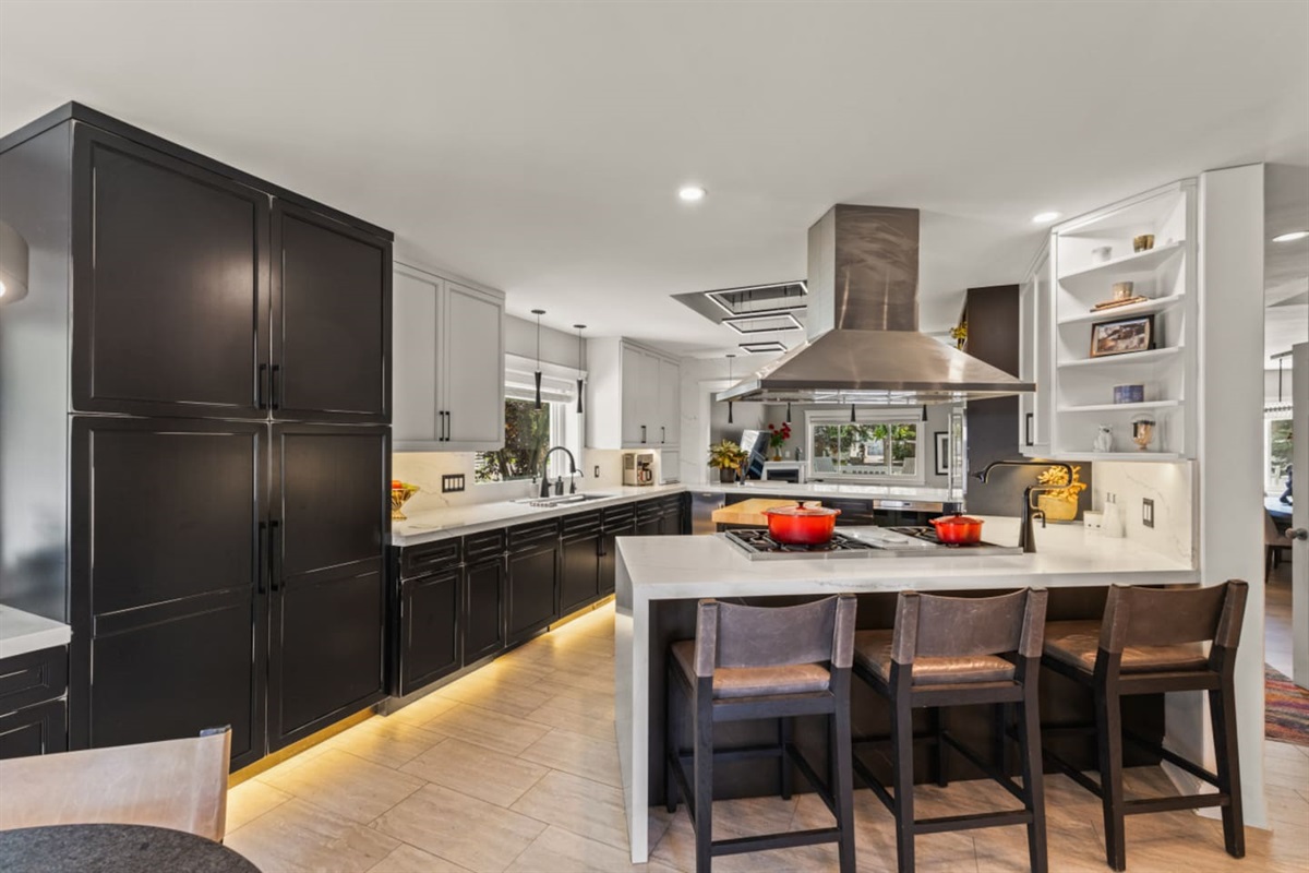 Large Chef's Kitchen 
