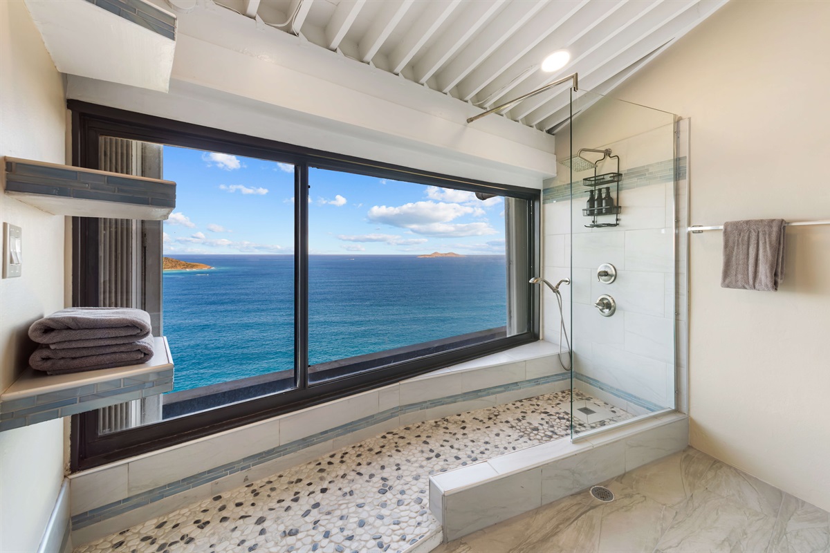 You will spend more time in the shower just enjoying the view!
