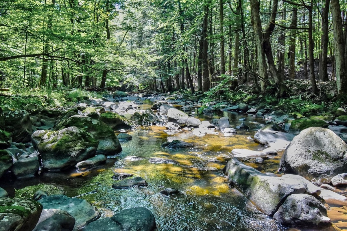 Calming creek running through the property