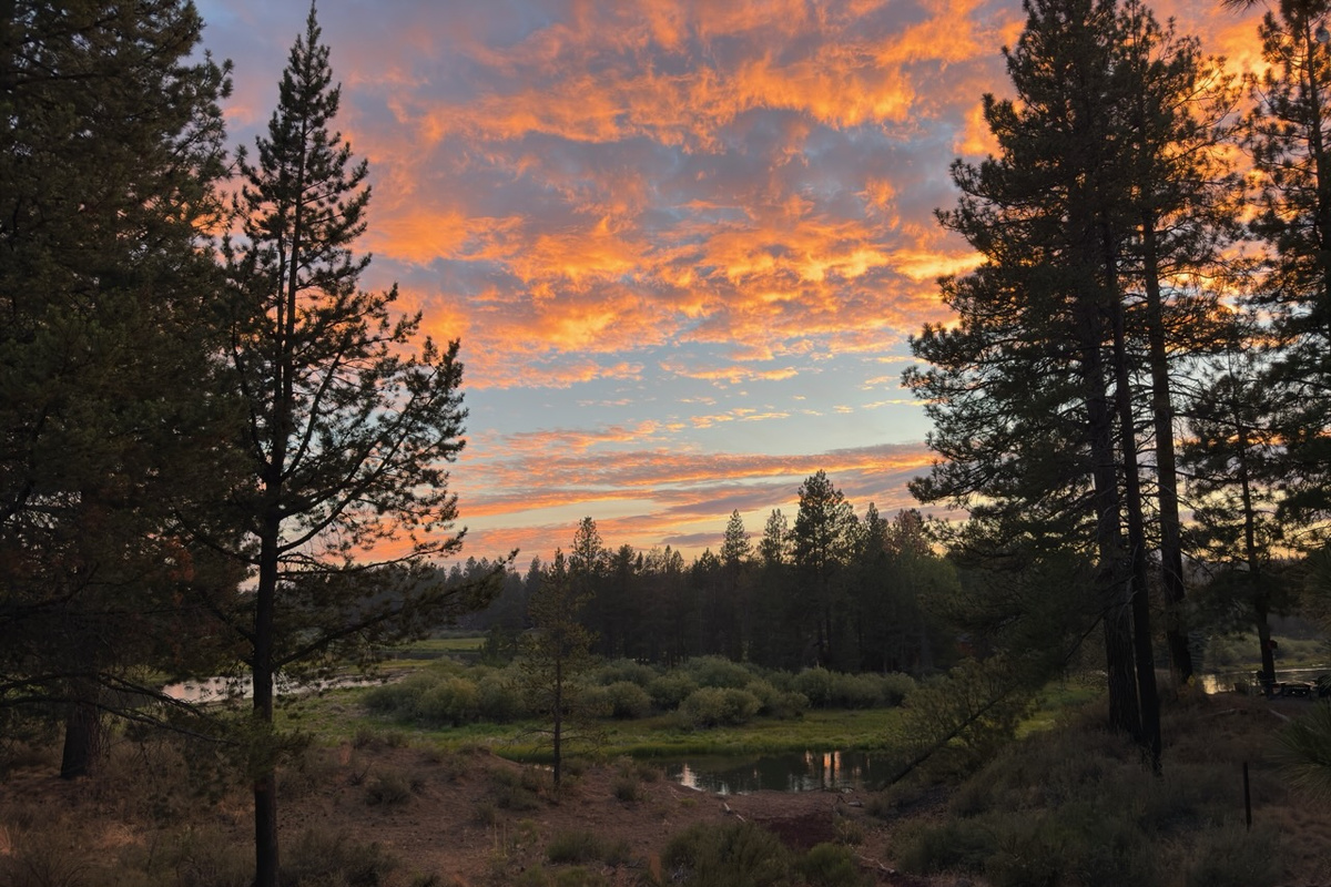 Dramatic Sunsets!