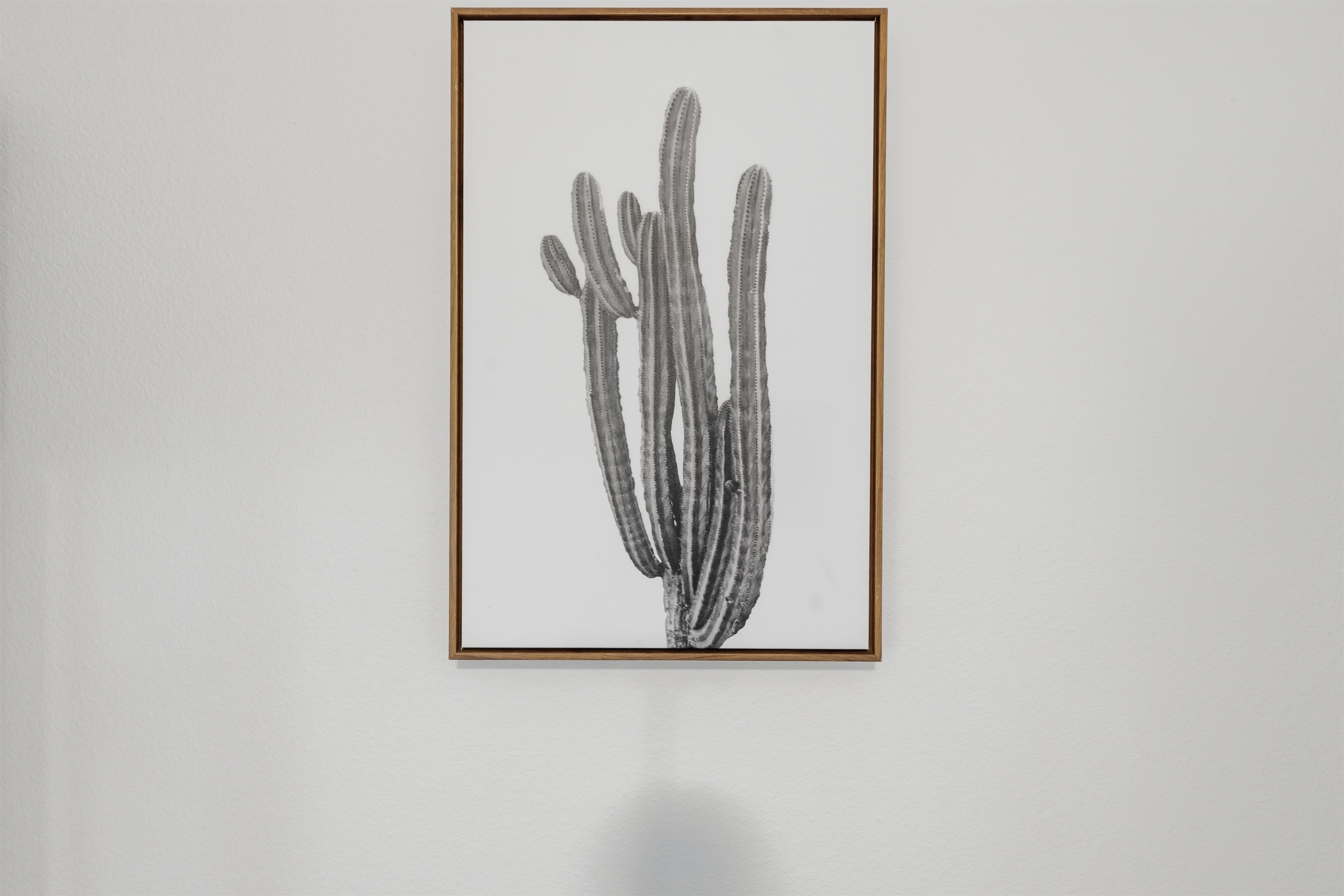 vibrant wall decor..