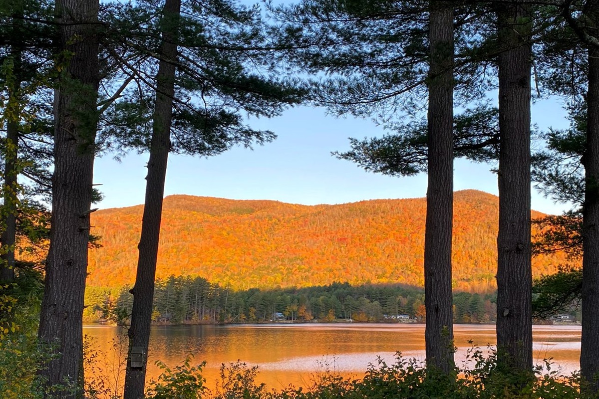 Spectacular Fall Foliage view from Farmhouse