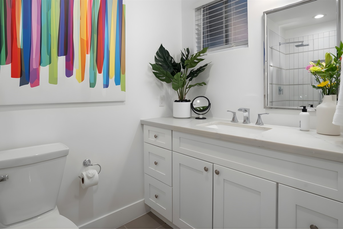 Completely updated full bath with walk-in shower