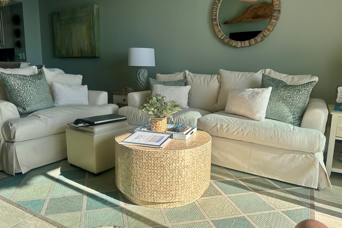 Another photo update (1/5/26) of our Brand-new Living Room furniture.  So comfortable!