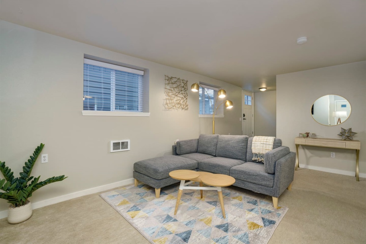 lower leve living room