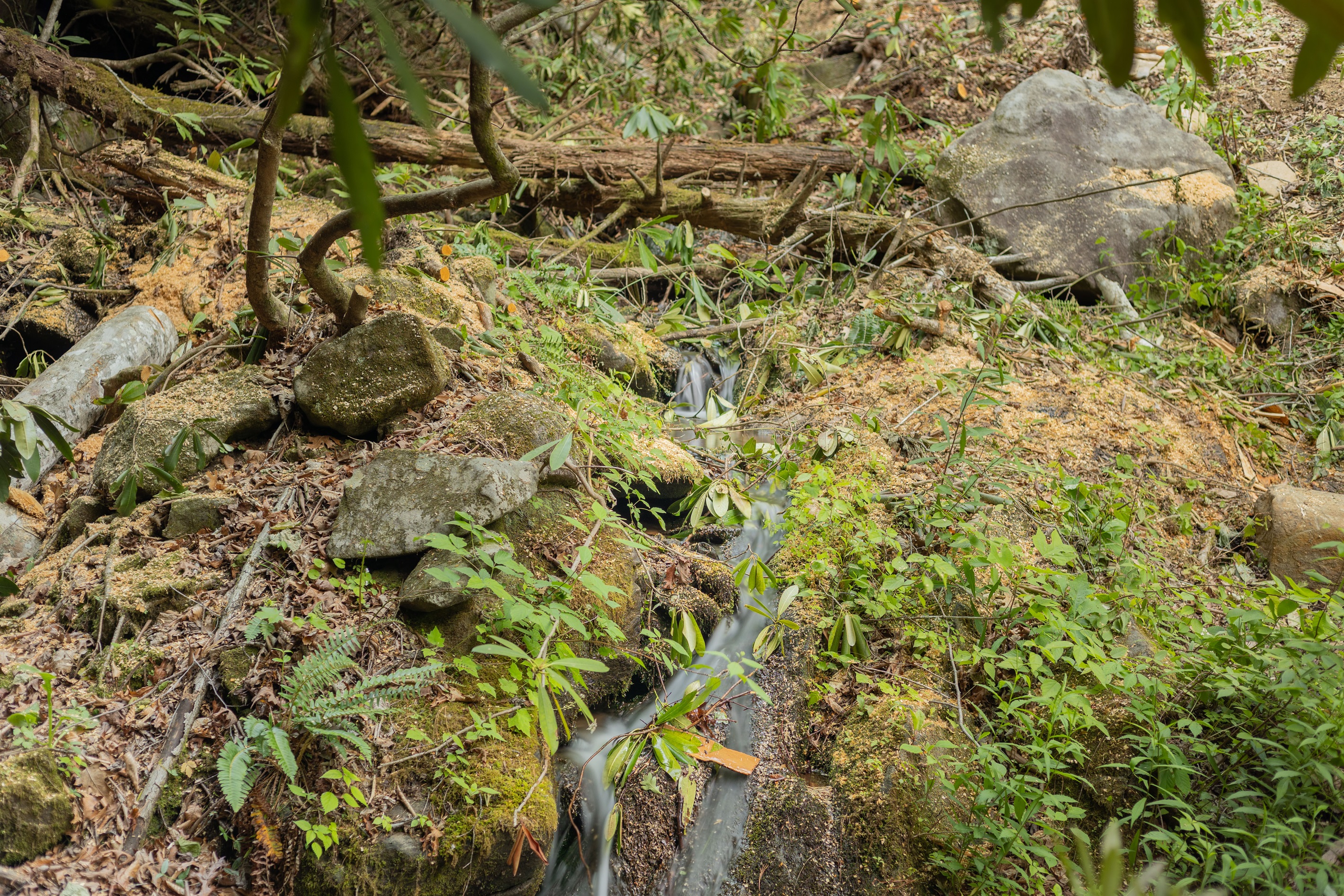 Relax to the peaceful sounds of rushing water just steps from the bungalow.