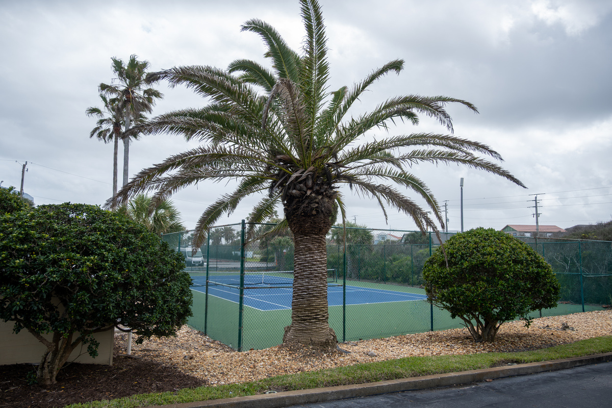 Tennis Court
