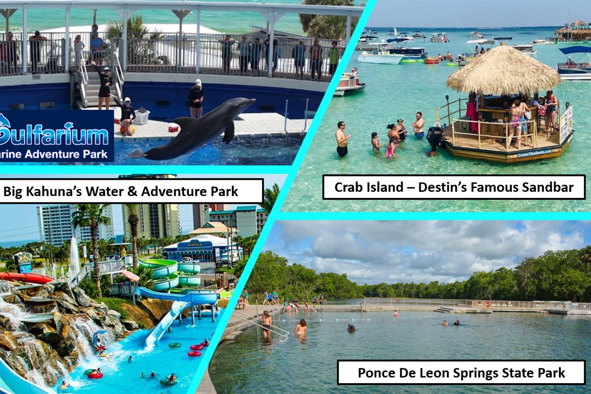 Outside of its famous beaches, Destin/Miramar Beach offers loads of attractions, and here are some of my favorites! 1. Gulfarium Marine Park (~15 miles away in Fort Walton Beach) - spectacular