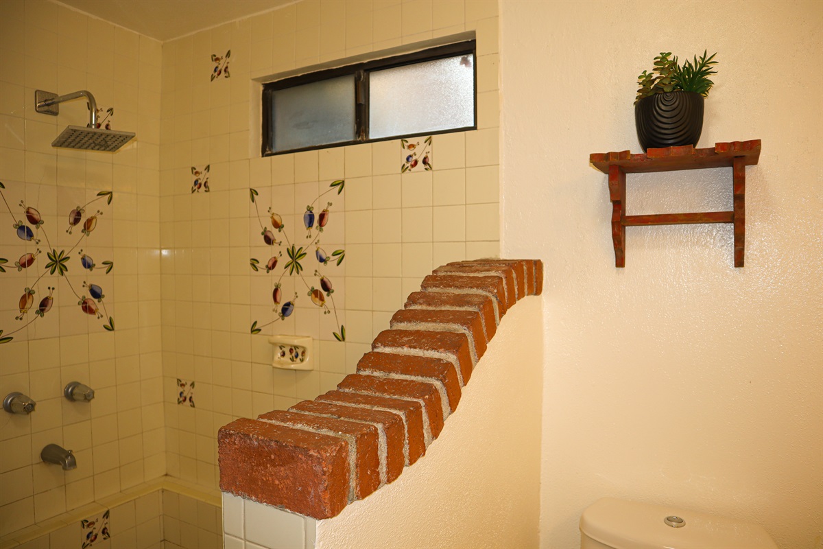 Downstairs Guest Bathroom