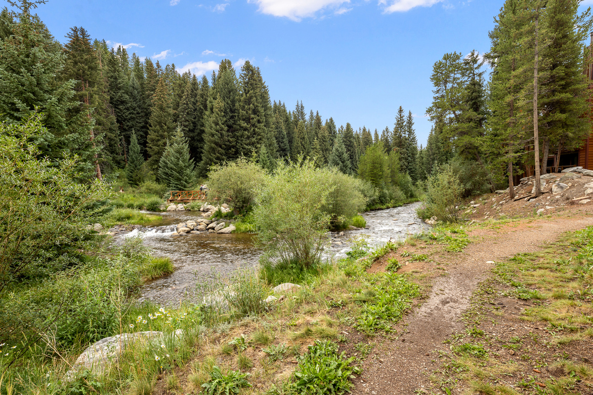 This section of the Blue River is closest to the townhome with walking trails on both sides connected with a bridge at Maggie Pond. 