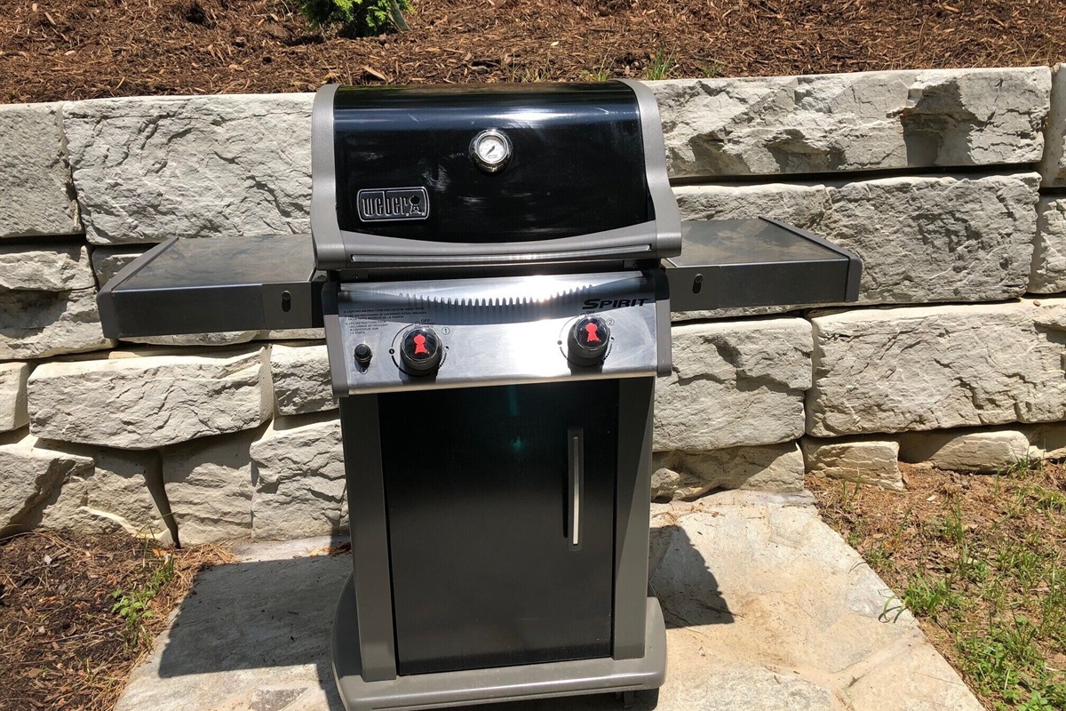 Outdoor grill, we provide the propane