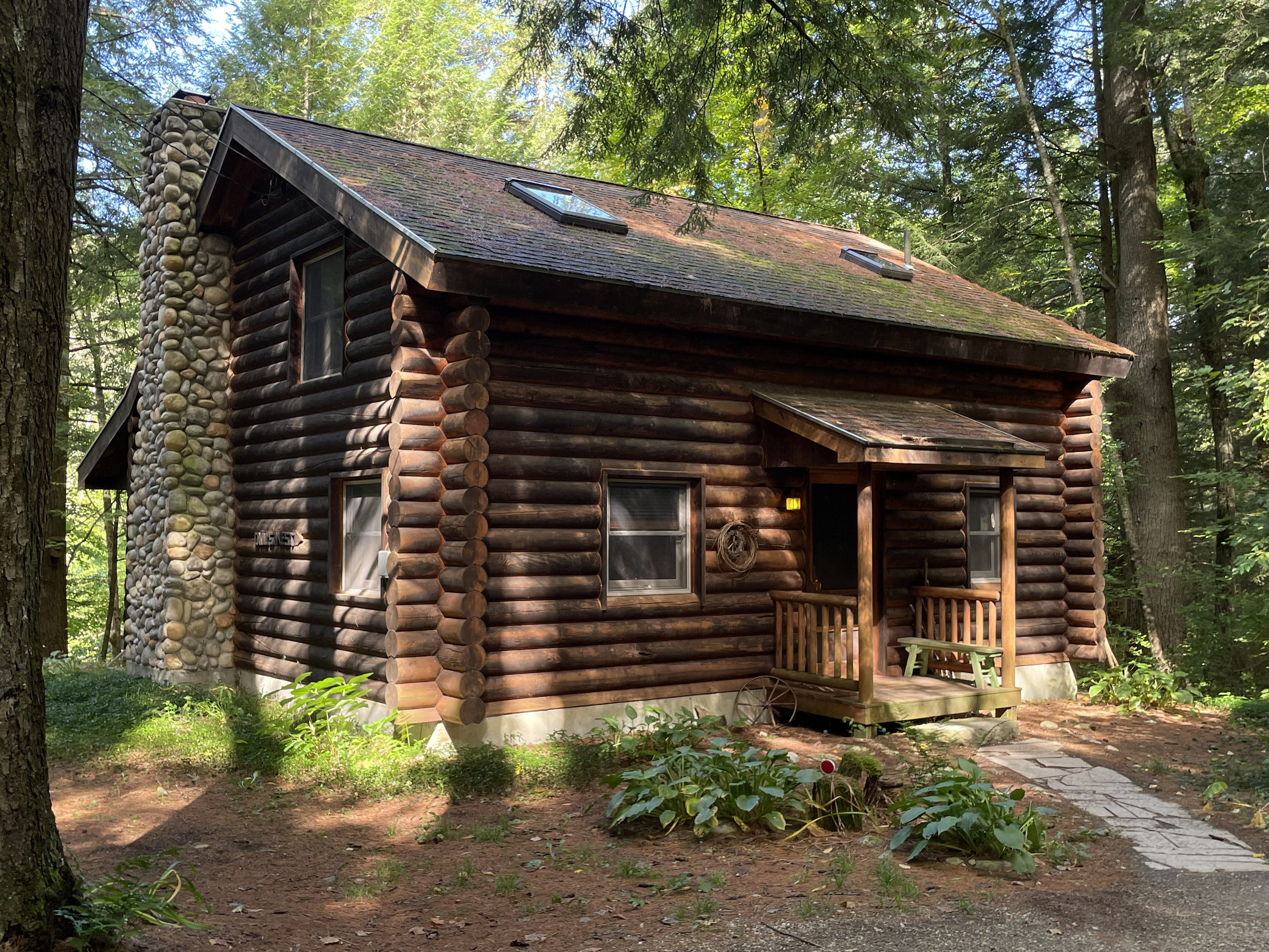 Nestled in a White Pine and Hemlock Forest