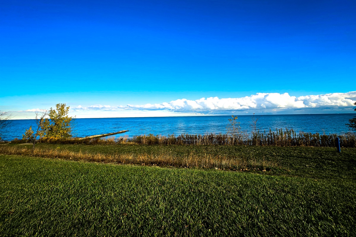 Walk to Shrowse Park