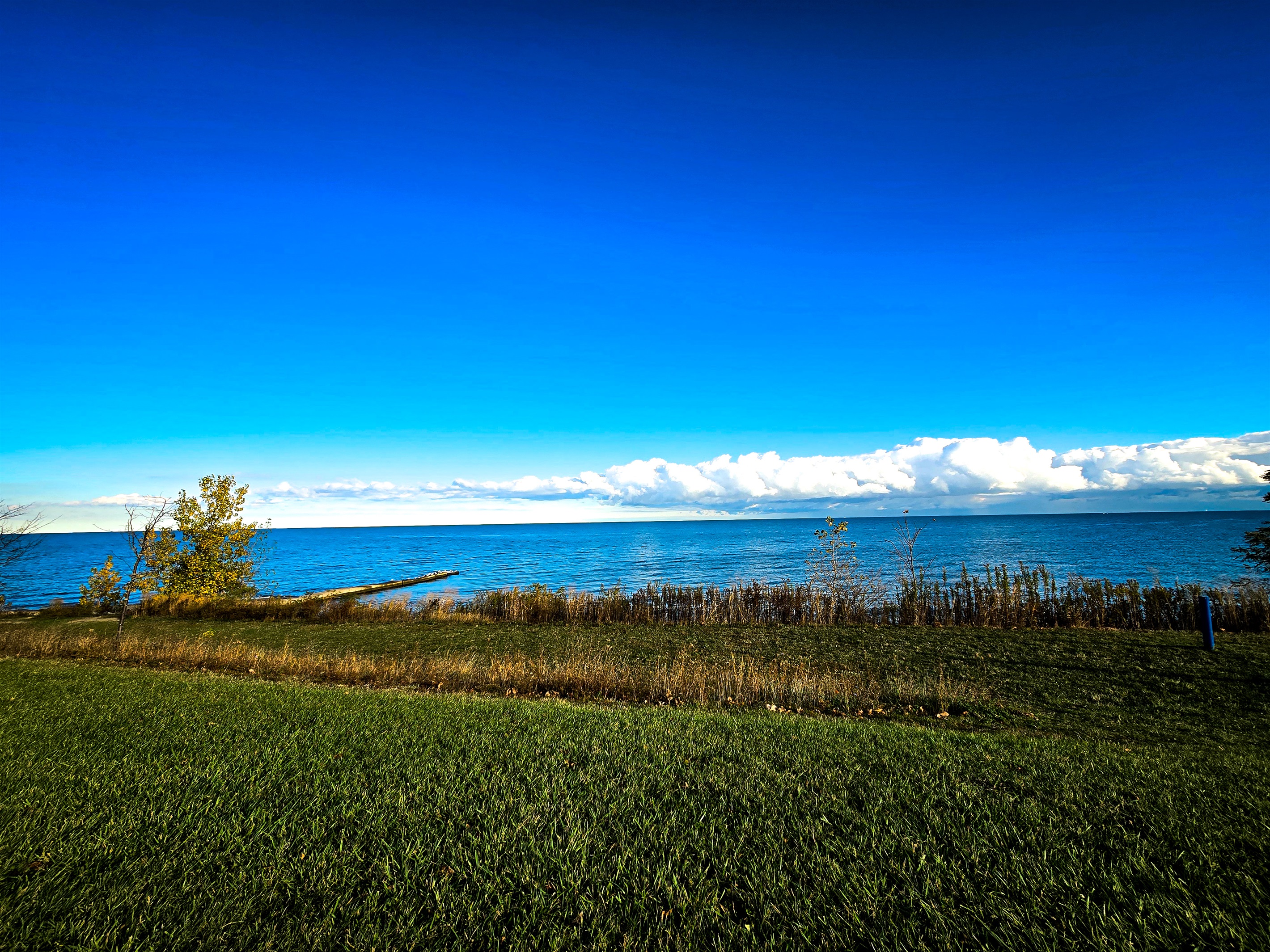 Walk to Shrowse Park