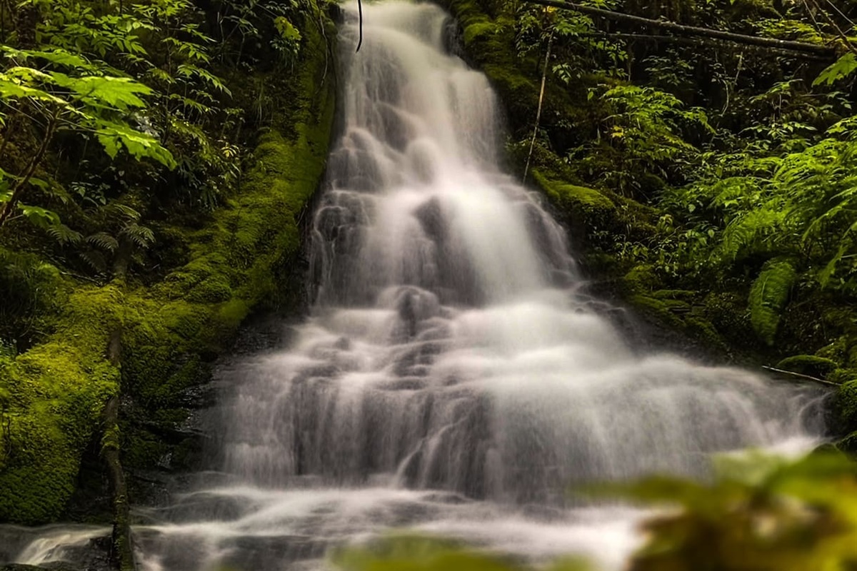 This gem of a hidden waterfall is a short walk from the house. 