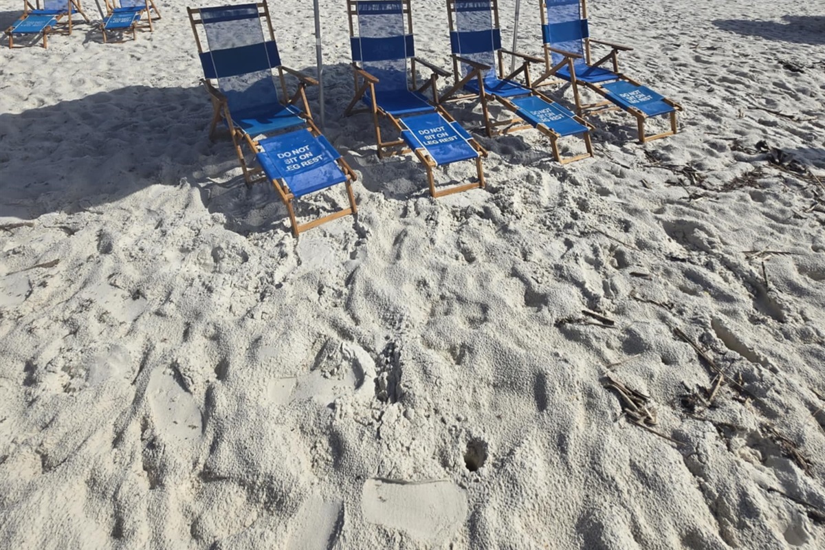 Beach Chairs & Umbrellas