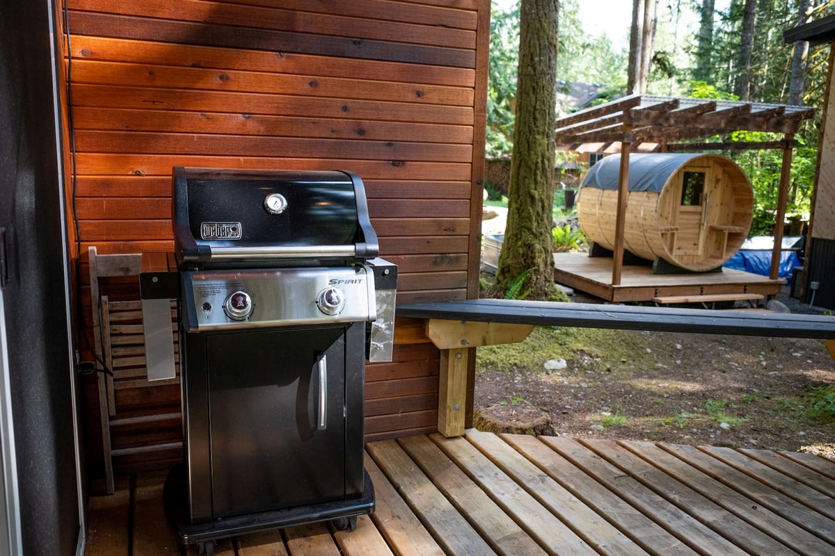 Back deck BBQ.