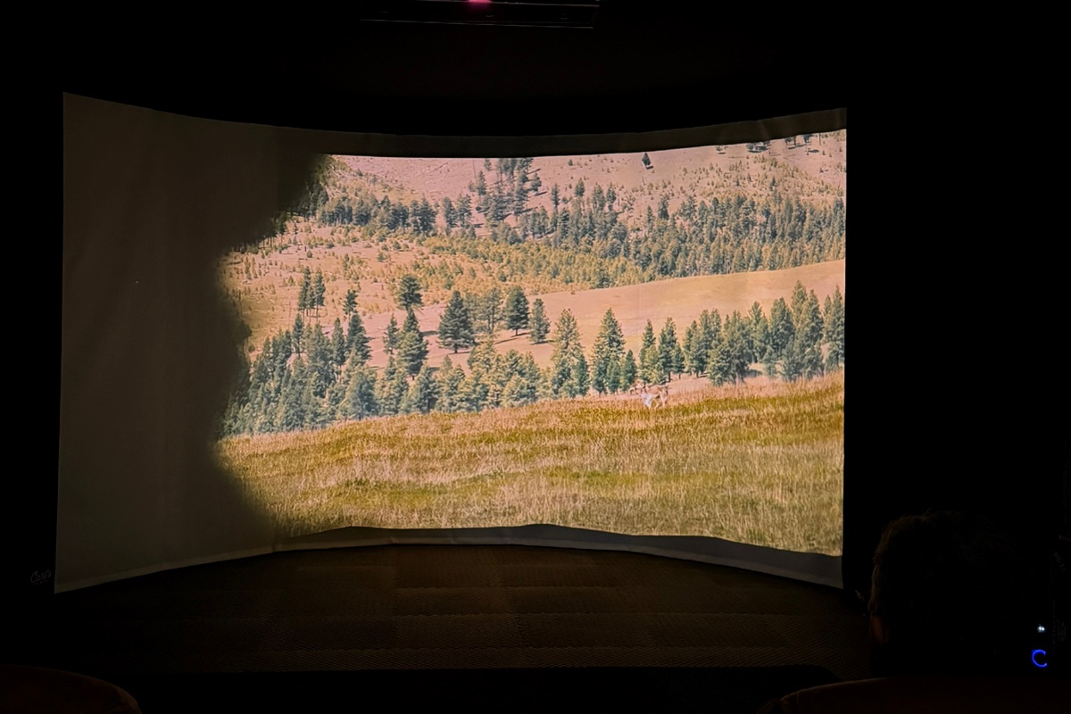 Lights low, screen aglow — your own private cinema experience in The Annex.