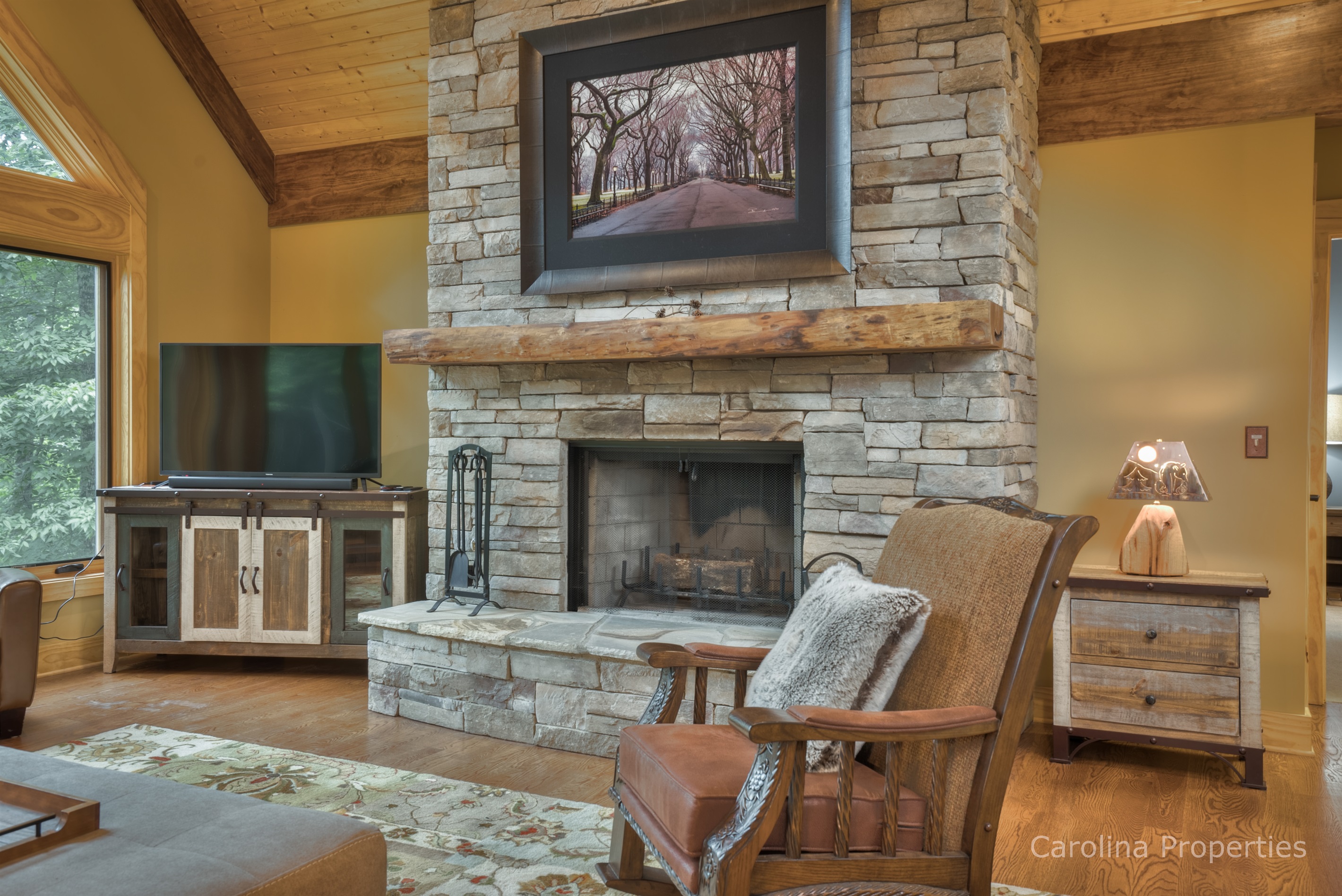 TV and fireplace in living room