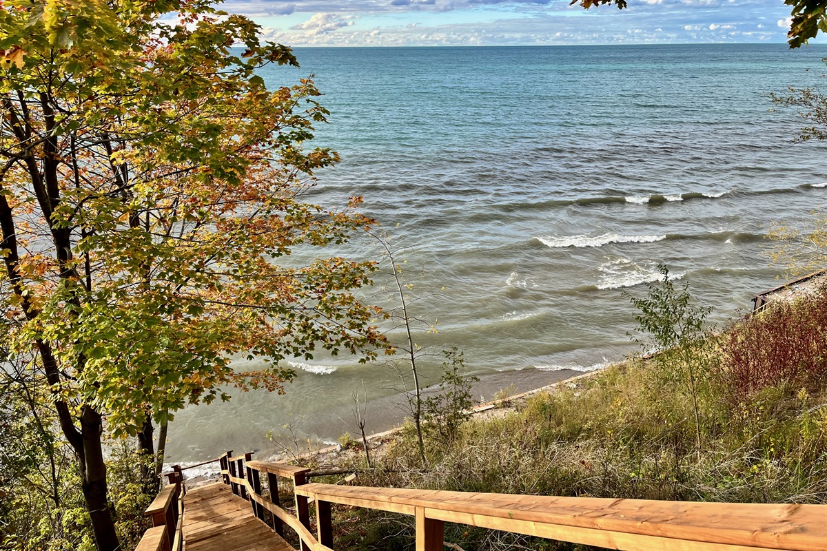 aa95ca6db619441f930602d44698a3b5 Large