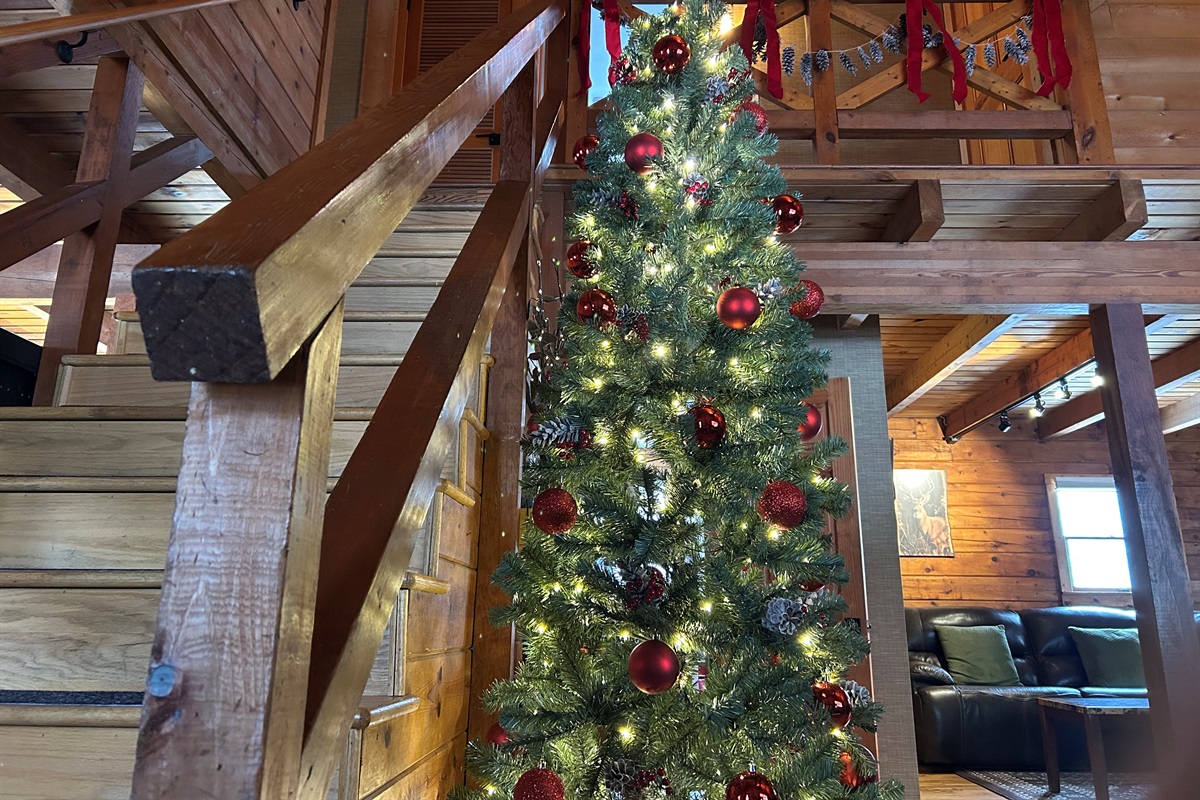 The tree is up and decorated for Christmas!