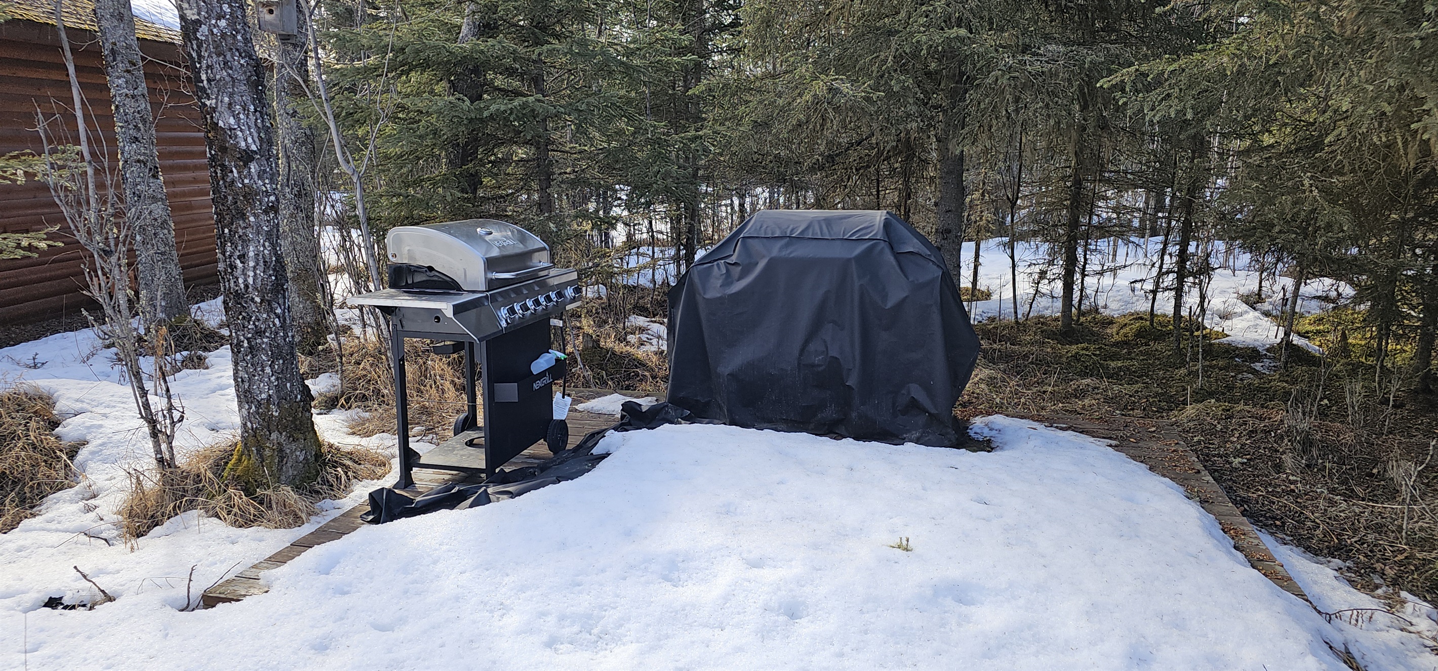 Shared Grilling Area