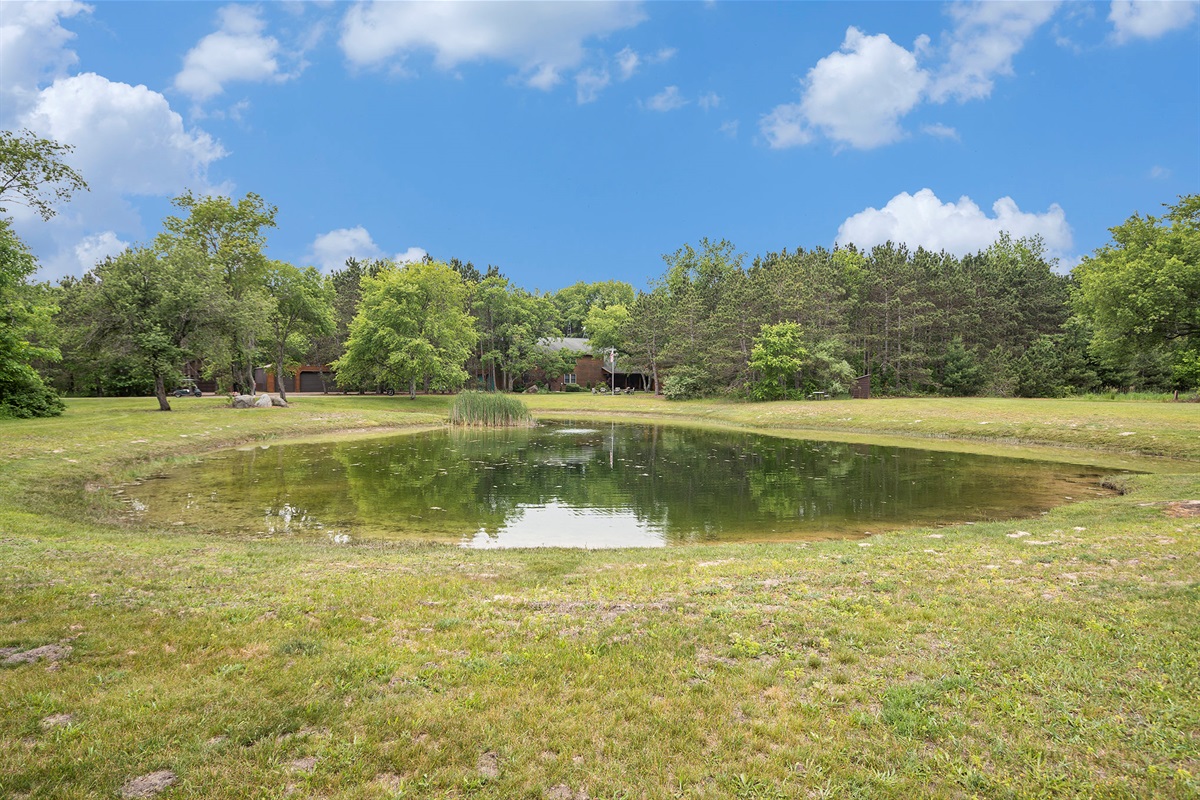 Pond located next to driveway