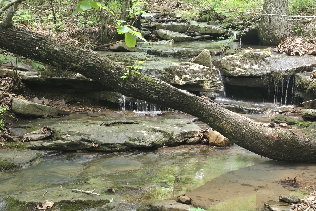Waterfalls Next To The Cabin