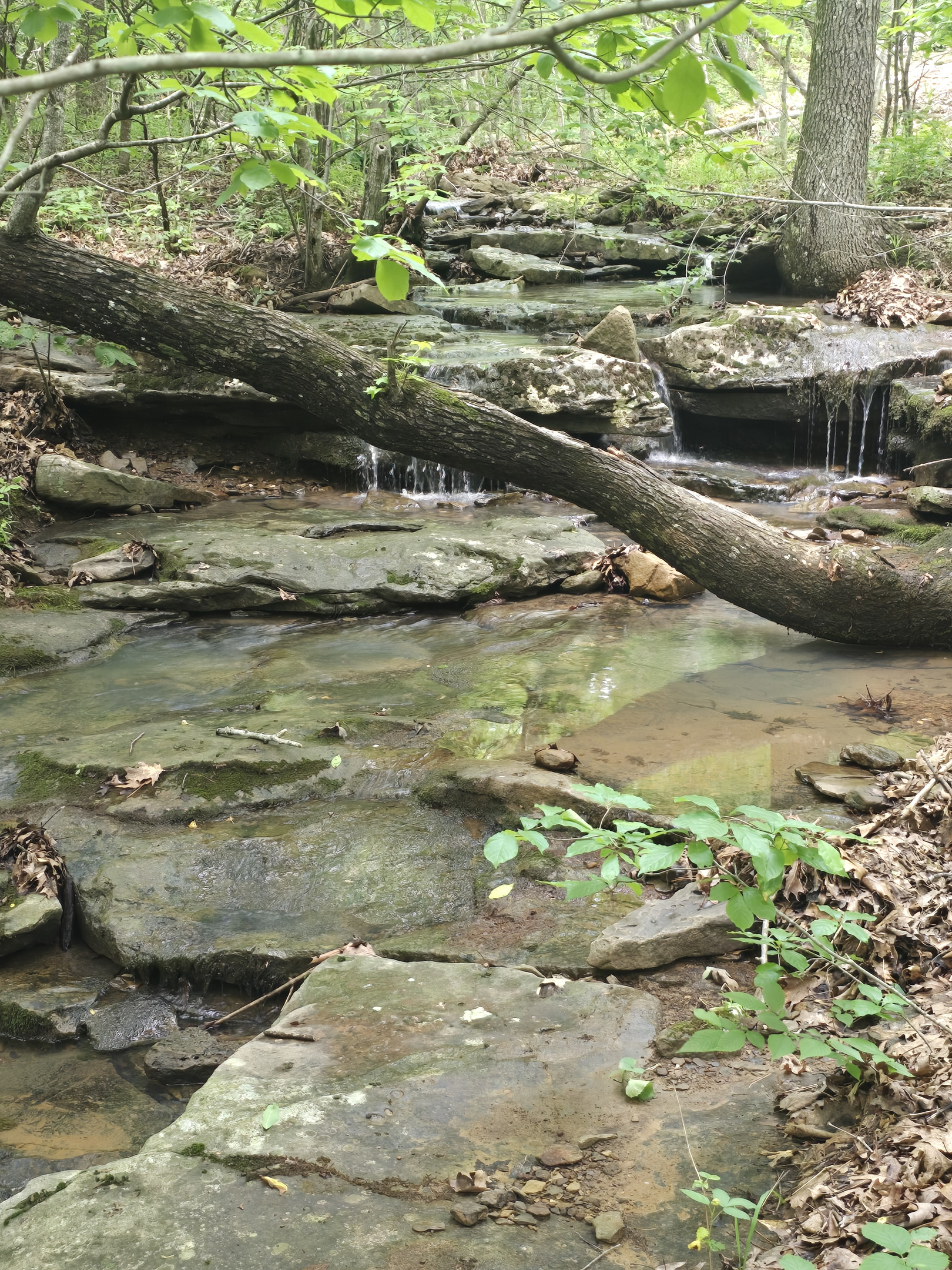 Waterfalls Next To The Cabin