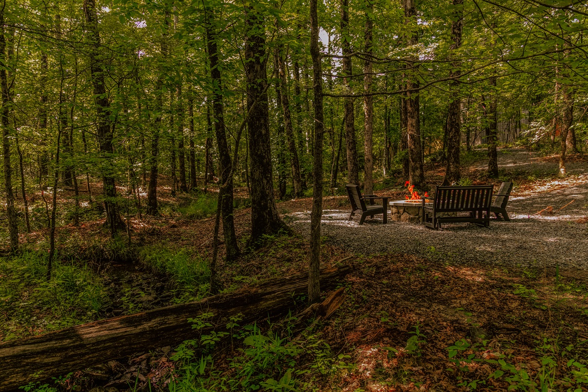 Our new fire pit down by the creek, surrounded by nothing but forest