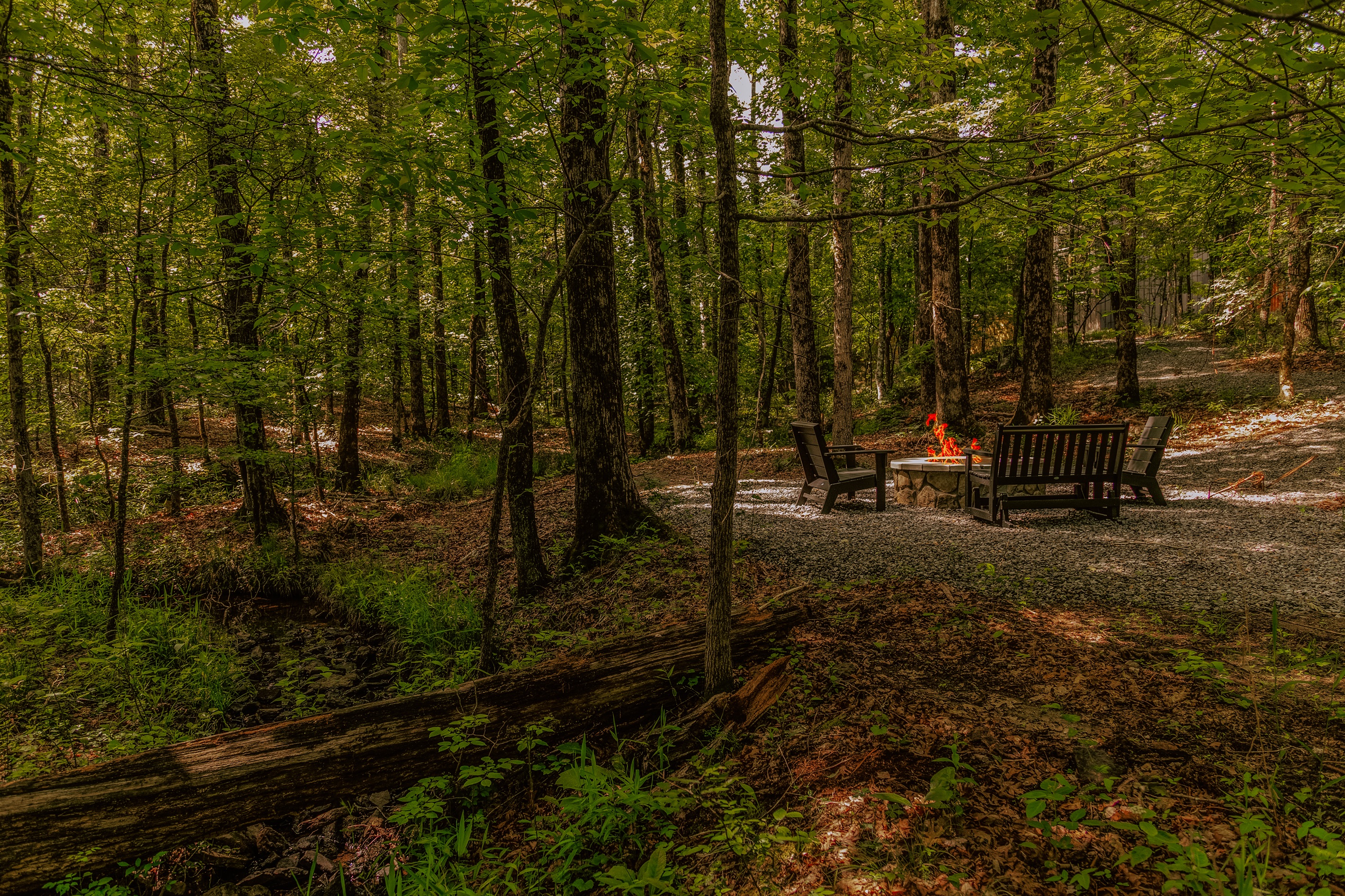 Our new fire pit down by the creek, surrounded by nothing but forest