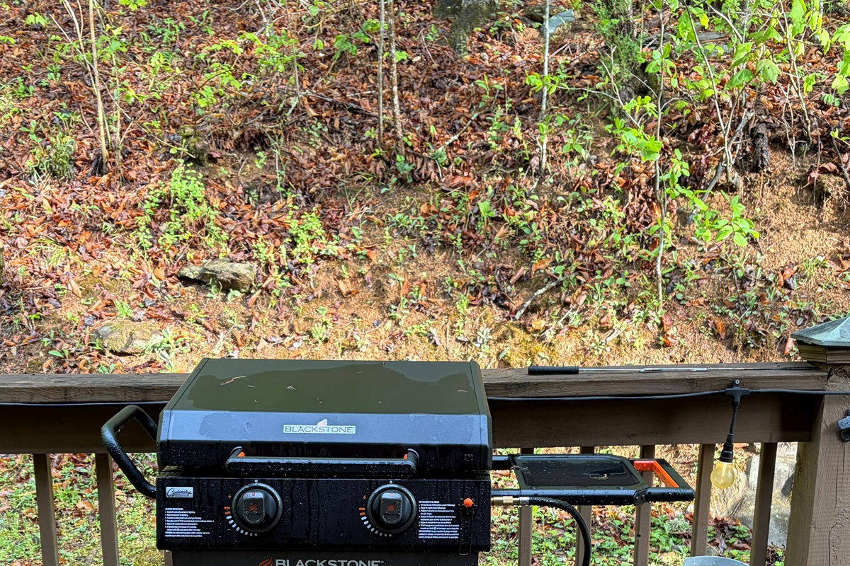 Blackstone propane grill