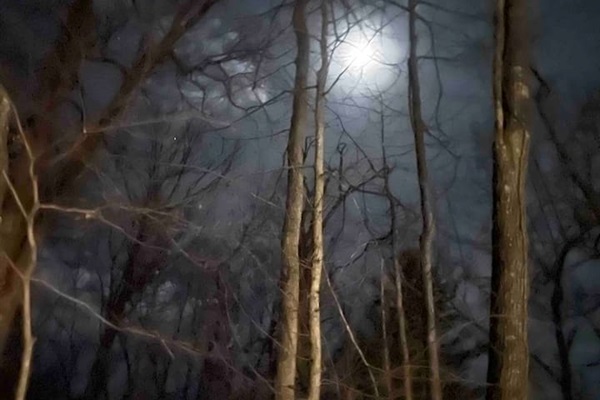 The winter moon is mesmerizing through our bare trees. 
