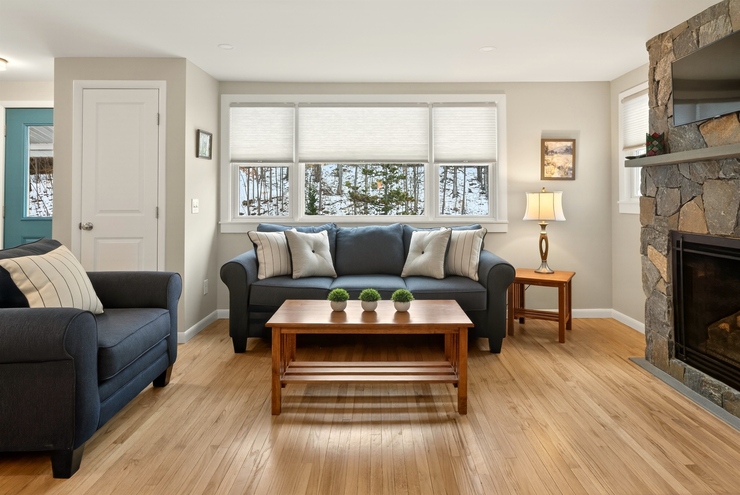 Cozy living room main floor