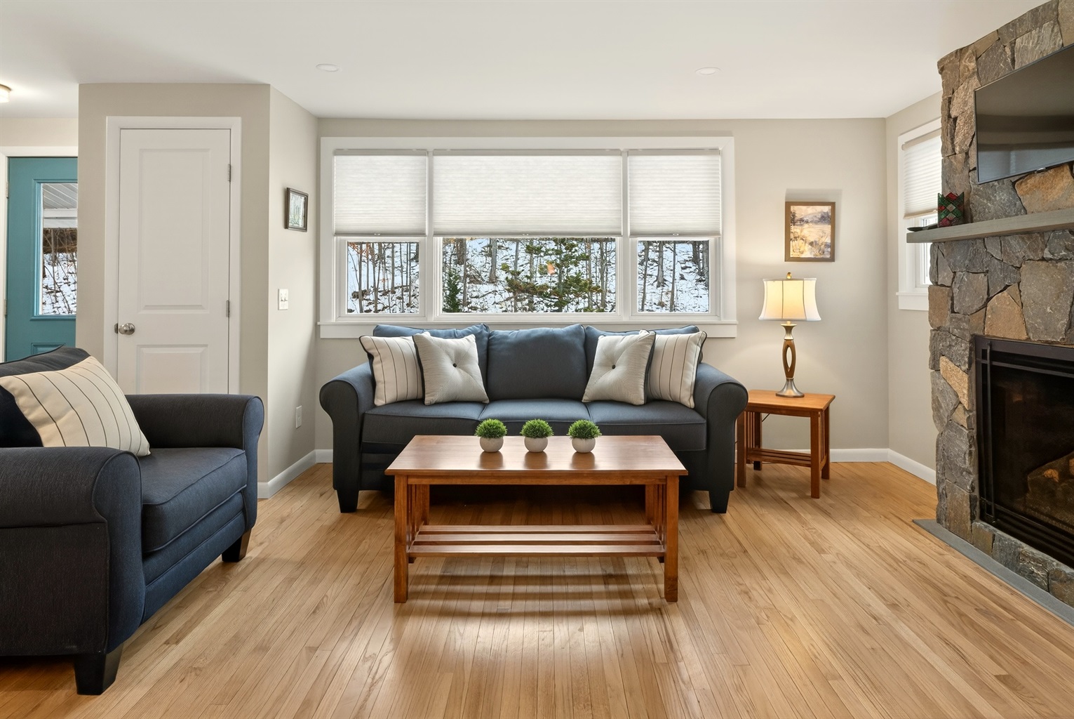 Cozy living room main floor